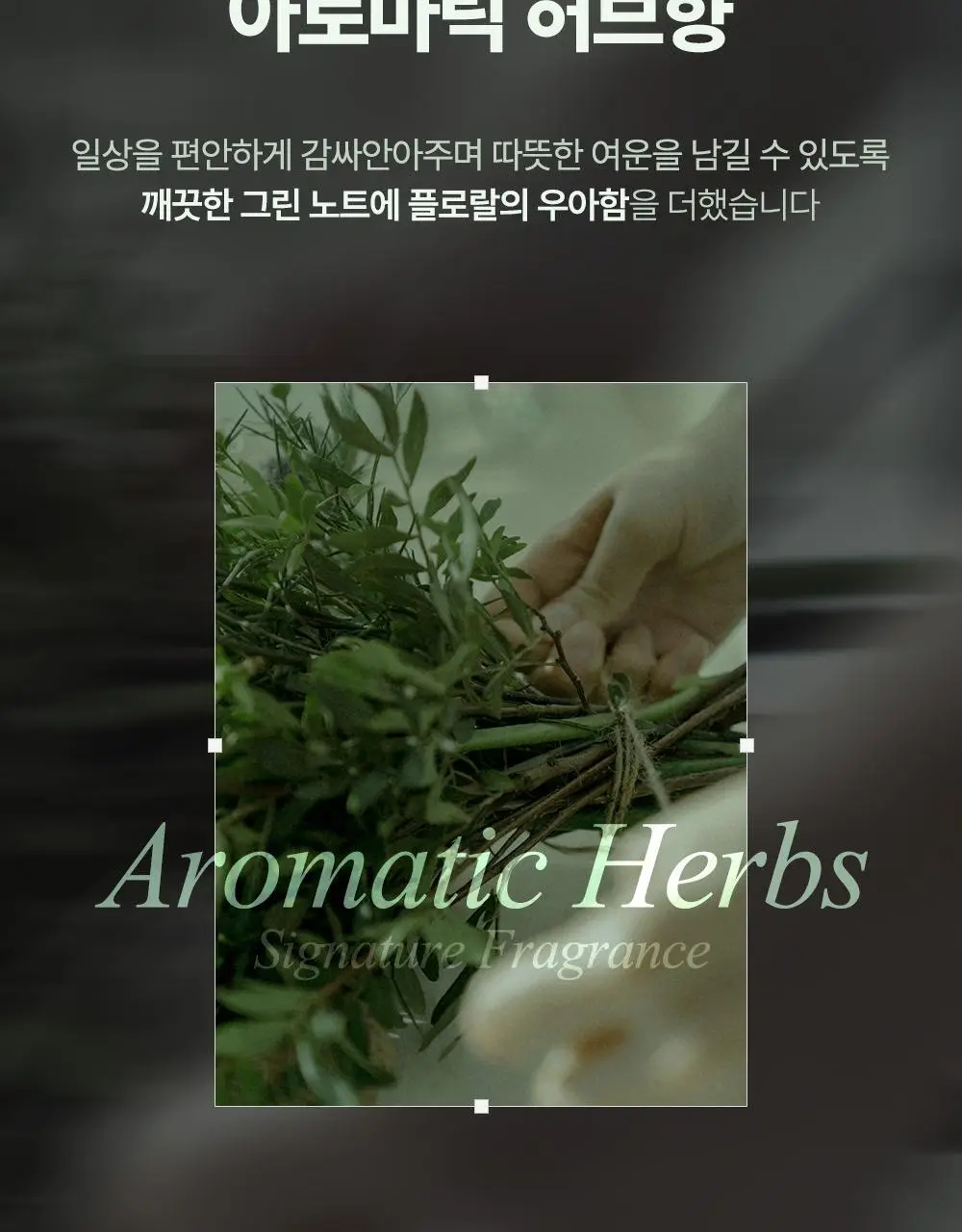 [1등헤어토닉] 달리프 클로렐라 탈모증상완화 헤어토닉 더블기획(100ml+100ml) 상세페이지 41